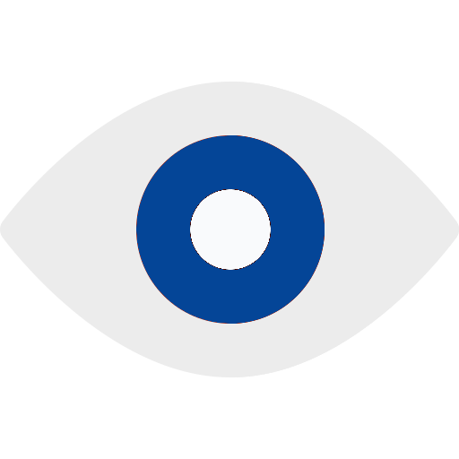 vision1
