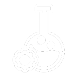 Catalyst Regeneration