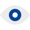 vision1
